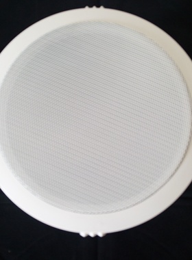 GBS 中天 ZT-506A 3-6瓦 带后罩 定压吸顶喇叭 开孔：170-180MM
