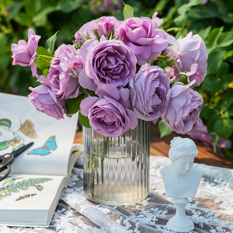 【直播福袋专享】蓝色风暴1.2升盆