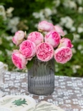 Sirius Rose Rose Rose 2,5 литра крупно -масштабной большой масштабной пчелы 4 и другой террасы внутреннего двора