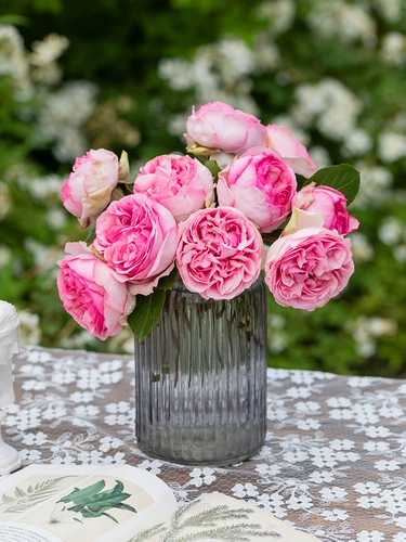 Sirius Rose Rose Rose 2,5 литра крупно -масштабной большой масштабной пчелы 4 и другой террасы внутреннего двора