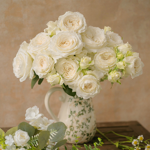 天狼月季寒江雪自育丰花直立易养护多季开观赏性植物花卉盆栽苗