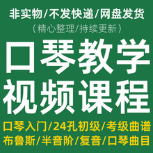 2022口琴自学视频培训教程 10孔布鲁斯24孔 半音阶教学零基础入门