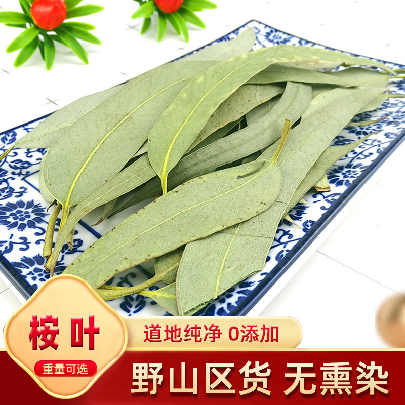 桉叶 中药材 桉树叶 橡树叶 大桉叶 蓝绿桉叶 按叶安叶 500克包邮