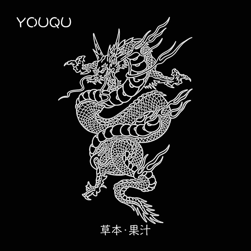 YOUQU草本 国风中国龙图腾手臂果汁草本纹身贴纸女防水防搓不掉色