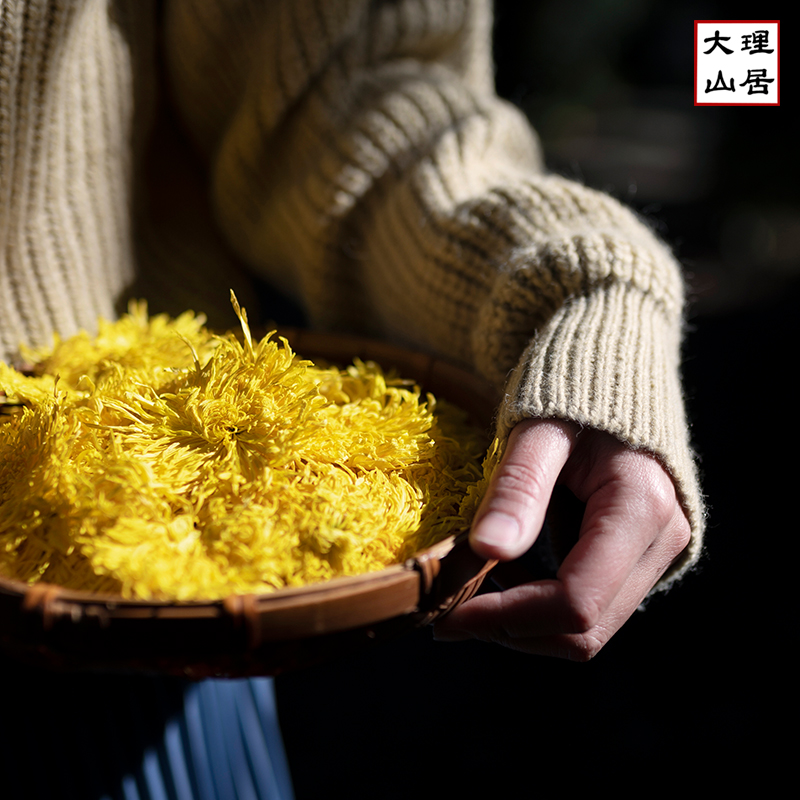 大理山居金丝皇菊大朵耐泡菊花茶