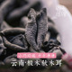 大理山居椴木黑木耳秋耳云耳干货农家小碗耳紧小肉厚100g云南特产