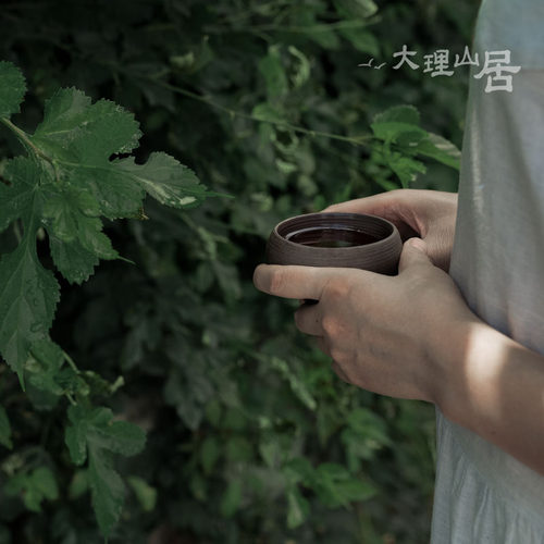 大理山居云南滇红茶古树