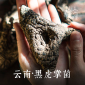 大理山居云南黑虎掌菌云南菌大山山货菌菇干货云南特产煲汤食材