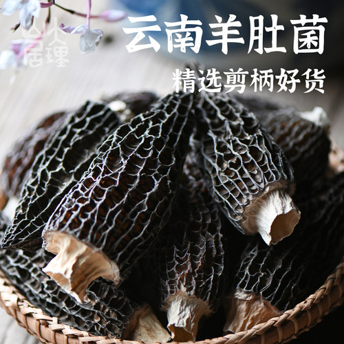 云南羊肚菌干货剪脚菌菇特产