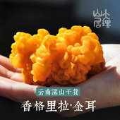 大理山居香格里拉金耳干金耳干货干金耳菌食用菌新货搭皂角米桃胶