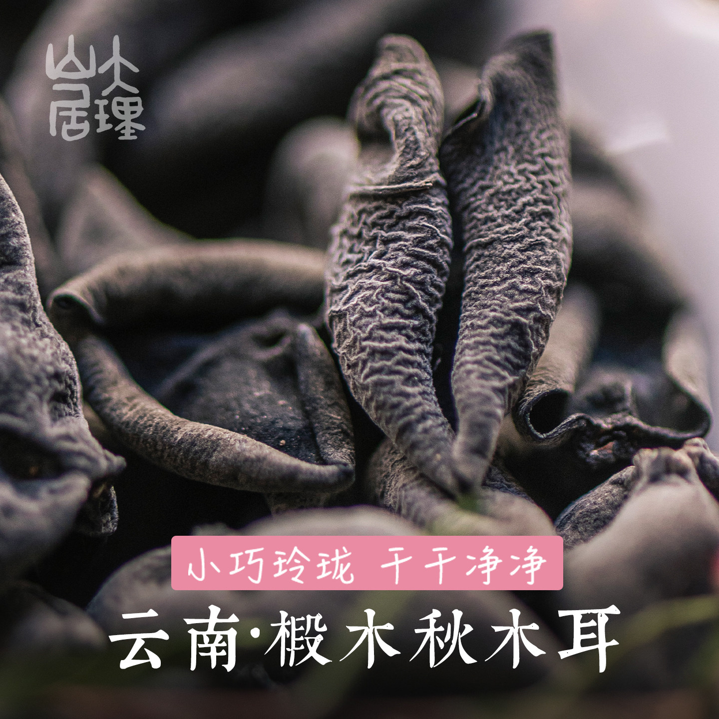 大理山居椴木黑木耳秋耳云耳干货农家小碗耳紧小肉厚100g云南特产