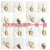 精选天然蚂蚁葫芦文玩特小手把件盘玩手捻随身挂解压摆件实图选发