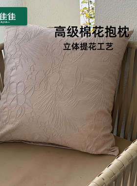 纯棉抱枕高级感沙发客厅抱枕