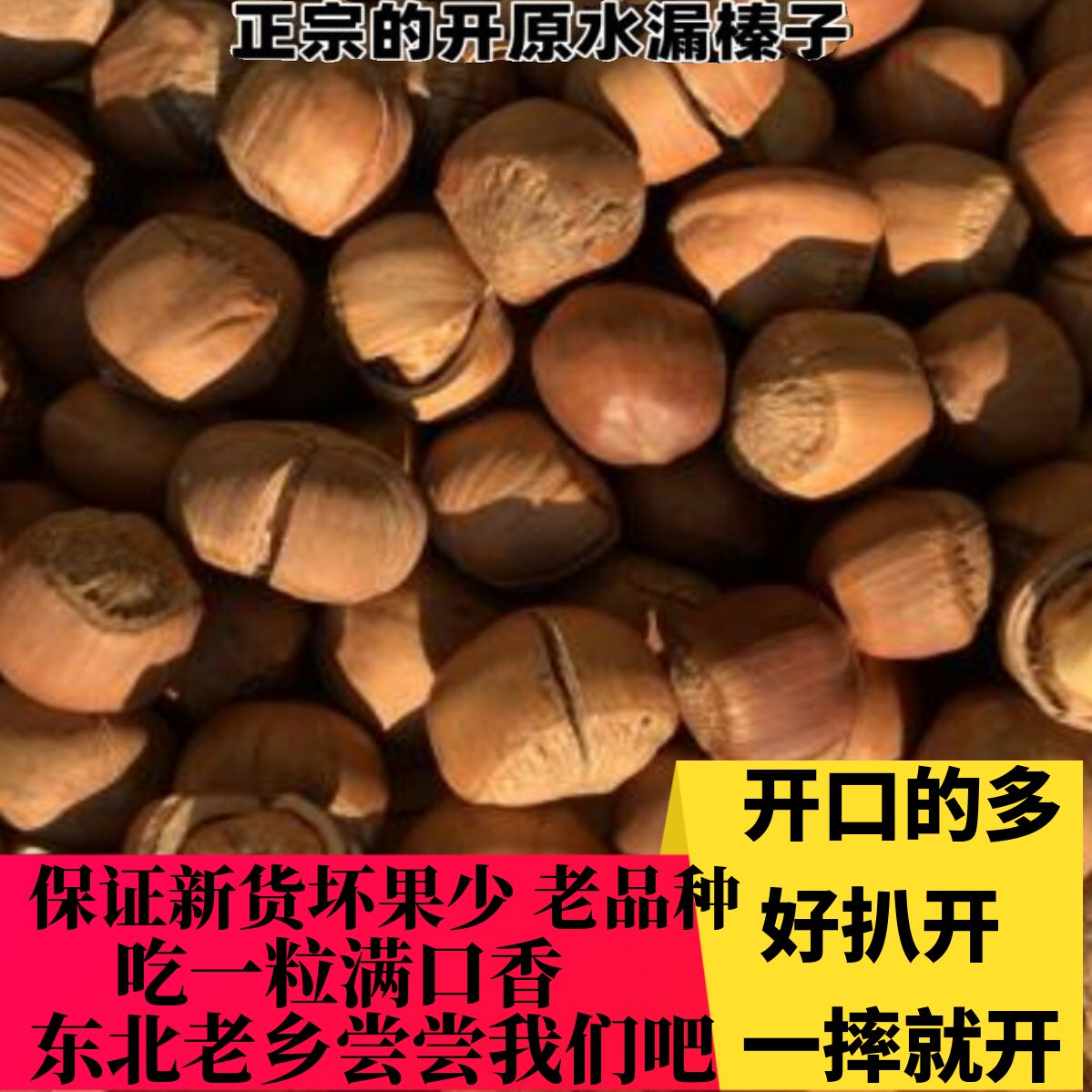 2026新鲜开原野生手拍开口榛子
