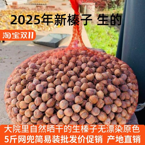 2025新鲜榛子自然晒干铁岭开原野生山榛子原味未加工生榛子不开口