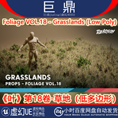 Poly 虚幻UE5.1 草地干草枯草 Grasslands Low Foliage VOL.18