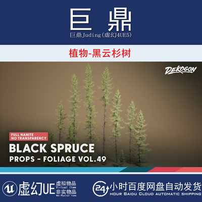 虚幻UE5.1+Foliage VOL.49 - Black Spruce 植物黑云杉树木模型