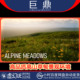 ALPINE games MEADOW 虚幻UE5.0 ready use 高山草甸景观