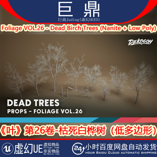 虚幻UE5.1+ Foliage VOL.26 - Dead Birch Trees 枯死树木白桦树