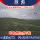 虚幻UE5.4 草地材质自然环境模型资源 Premium Grass Material