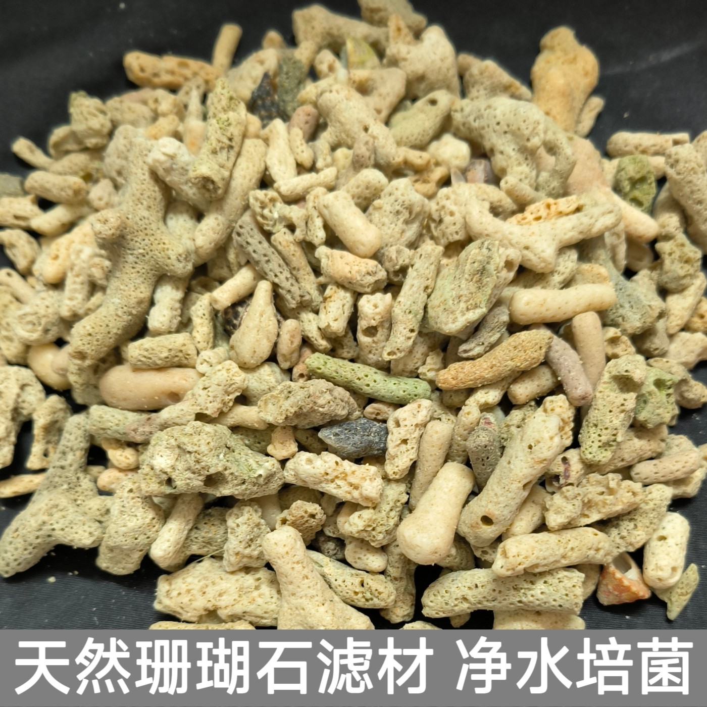 天然珊瑚骨滤材无漂白珊瑚石锦鲤池过滤培菌海鲜池净水滤材珊瑚砂图片