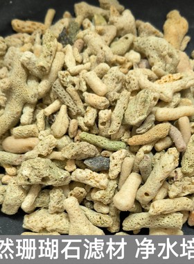 天然珊瑚骨滤材无漂白珊瑚石锦鲤池过滤培菌海鲜池净水滤材珊瑚砂