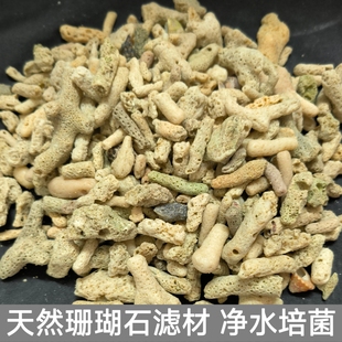 天然珊瑚骨滤材无漂白珊瑚石锦鲤池过滤培菌海鲜池净水滤材珊瑚砂