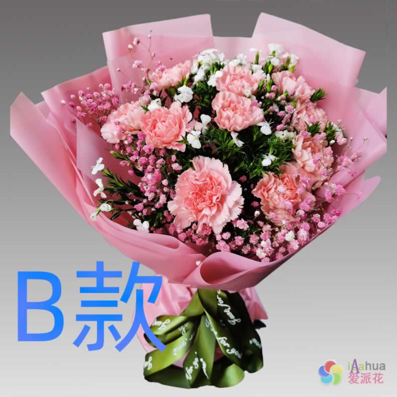 生日三八康乃馨江西赣州花店送花寻乌县石城县瑞金市同城鲜花快递