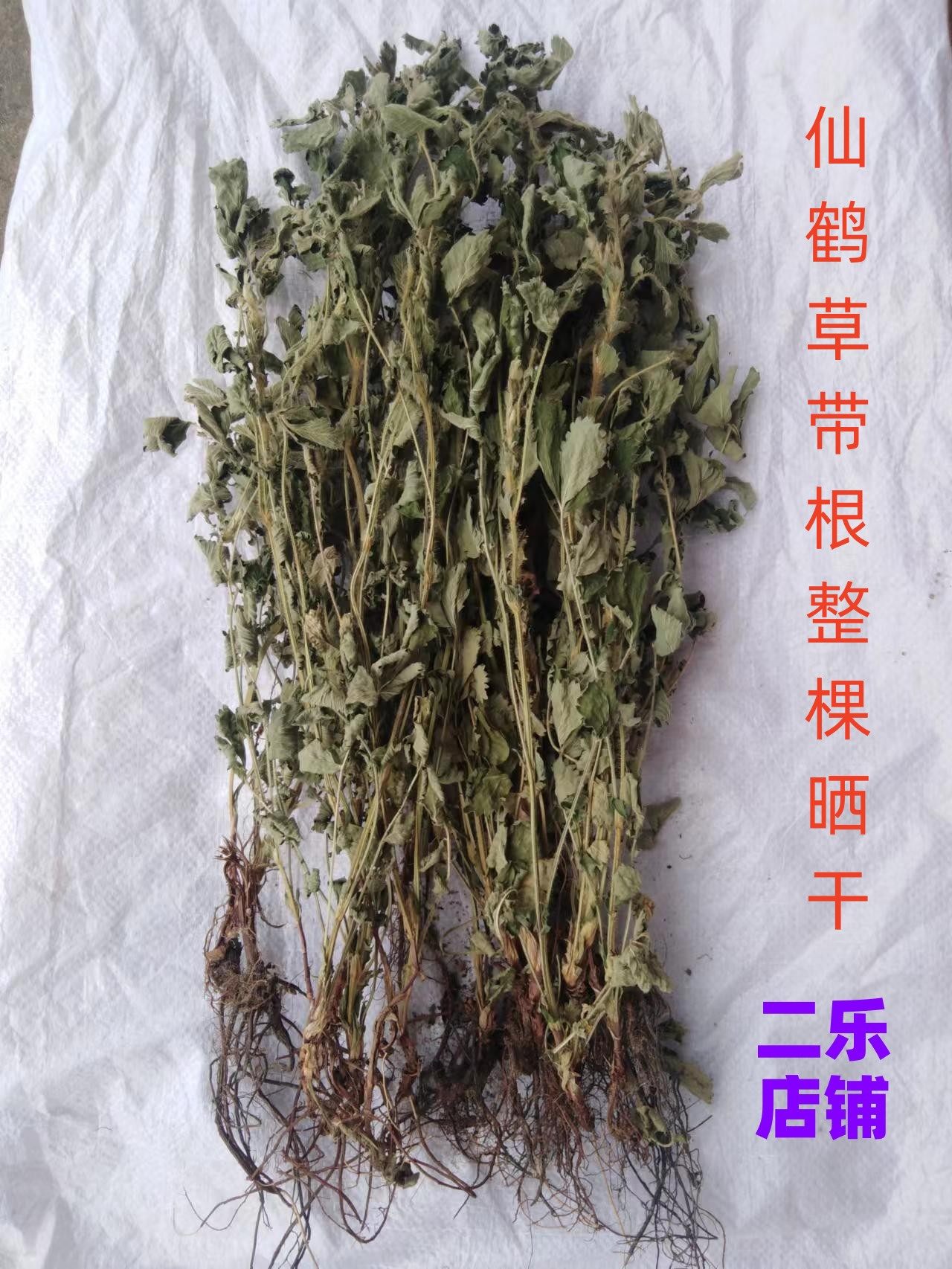 中药材仙鹤草正品带根整株全草晒干龙牙草狼牙草脱力草新货包邮