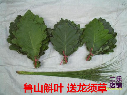 河南鲁山新鲜胡叶斛坠叶端午节粽子叶送龙须草现采摘新货包邮