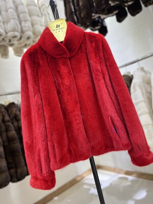 2025冬新款进口天鹅绒小母貂皮大衣女短款立领水貂毛皮草外套年轻