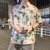 夏新款男大码宽松短袖T恤百搭印花体恤打底衫/7102p35，男装T恤，电商A012