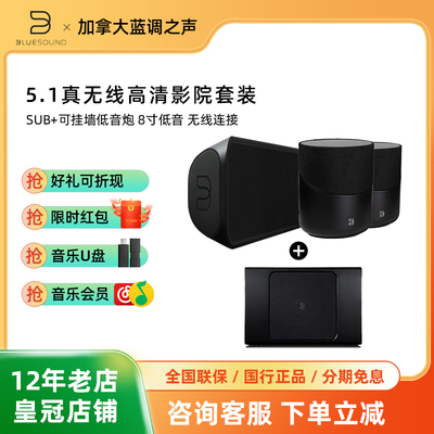 BLUESOUND 5.1真无线家庭影院客厅电视音箱回音壁
