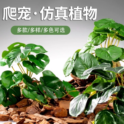 爬虫箱造景雨林沙漠仿真植物