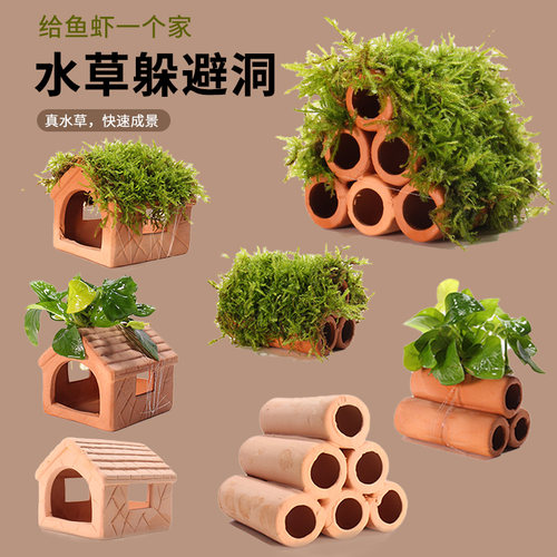 鱼缸躲避屋鱼虾孔雀鱼躲避洞造景