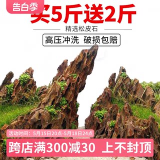 鱼缸造景石假山松皮石青龙石天然真石头水陆盆景草缸生态原石摆件