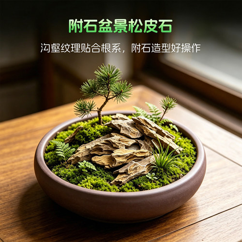 迷你松皮石小块天然盆景石造景石苔藓微景观园艺假山铺面原石附石