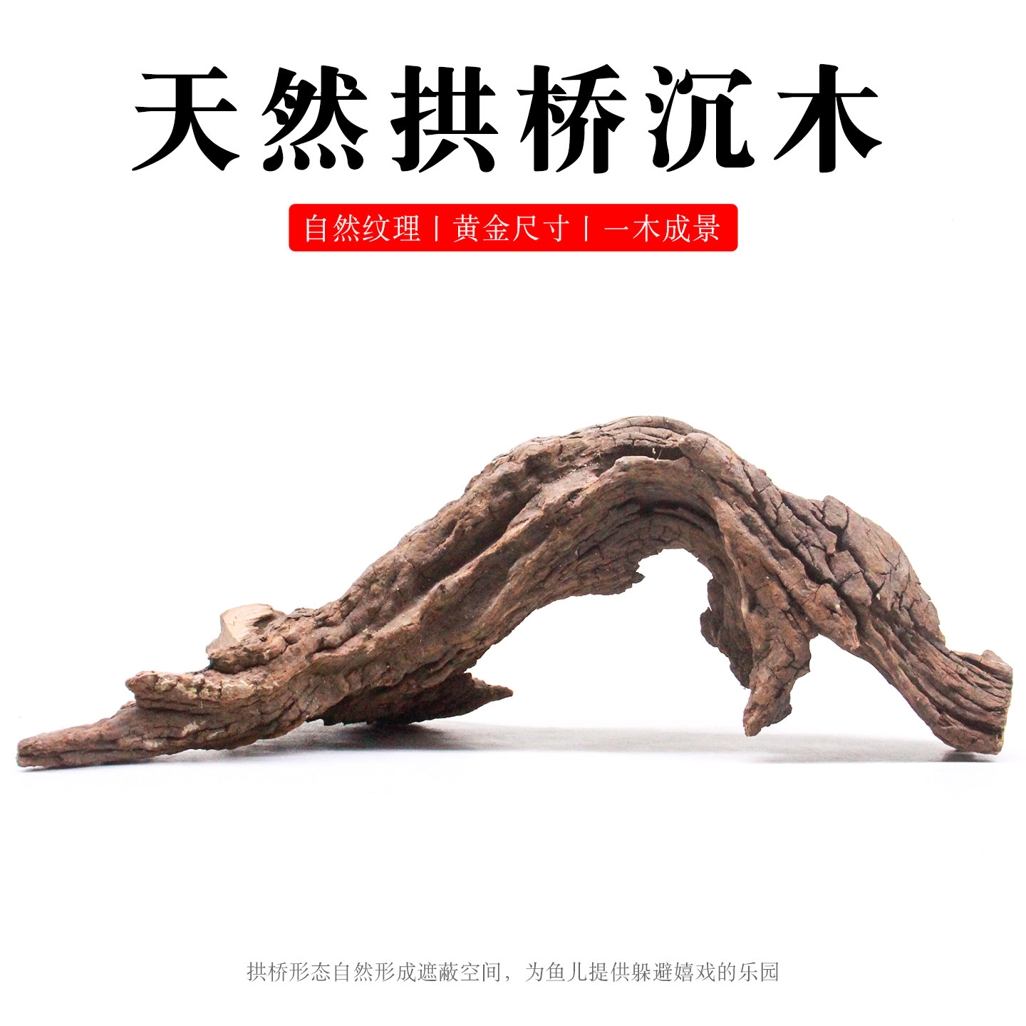 沉木乌龟晒台拱桥躲避屋鱼缸造景装饰木头树根一木成景树桩枝条