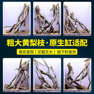 小鱼缸造景树根枝条树枝黄梨枝条天然沉木鹿角枝枯木装饰生态全套