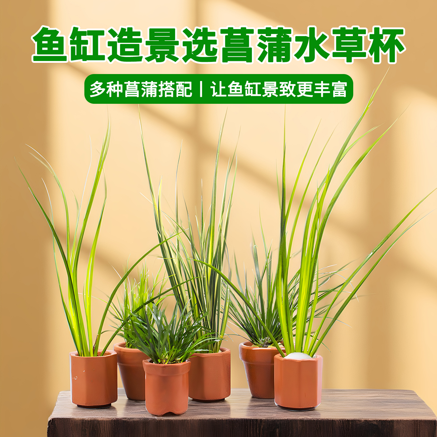 鱼缸造景水草杯乌龟缸生态造景杯