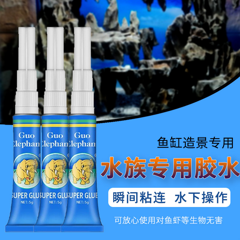 国象胶水草珊瑚胶骨架粘石头图片