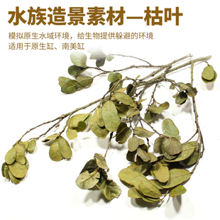 南美缸造景树叶枯叶底床修饰鱼缸溪流缸底部装饰材料天然树叶树枝