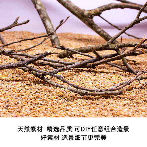 南美缸造景沉木枝条黄梨枝细枝条