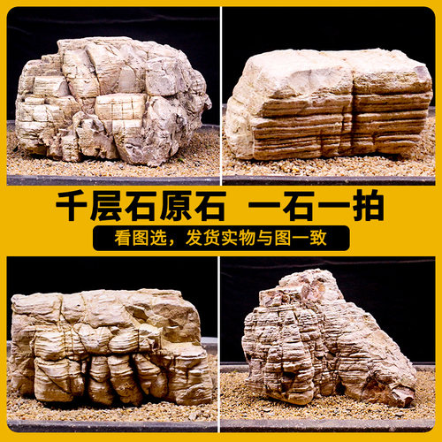 白千层石鱼缸造景水陆缸装饰成品