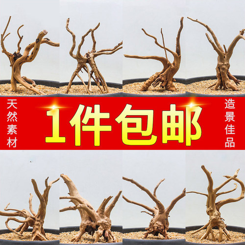 天然莫斯树鱼缸装饰沉木杜鹃根