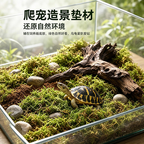 爬宠垫材干苔藓水苔乌龟冬眠铺垫透气爬宠箱造景天然干青苔素材