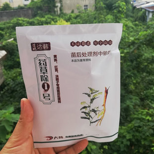 中药材黄芪红芪决明子用苗后除草处理剂药草除1号4-6叶用不伤作物