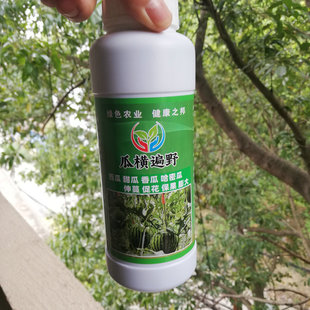 瓜类丰产素营养液瓜横遍野西瓜香瓜甜瓜壮苗伸蔓促雌花保果膨大