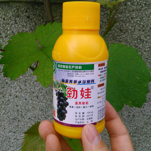 小旺哥劲娃夏黑葡萄膨大剂 膨大素 保果膨大去核一体剂软梗不裂果 - 封面