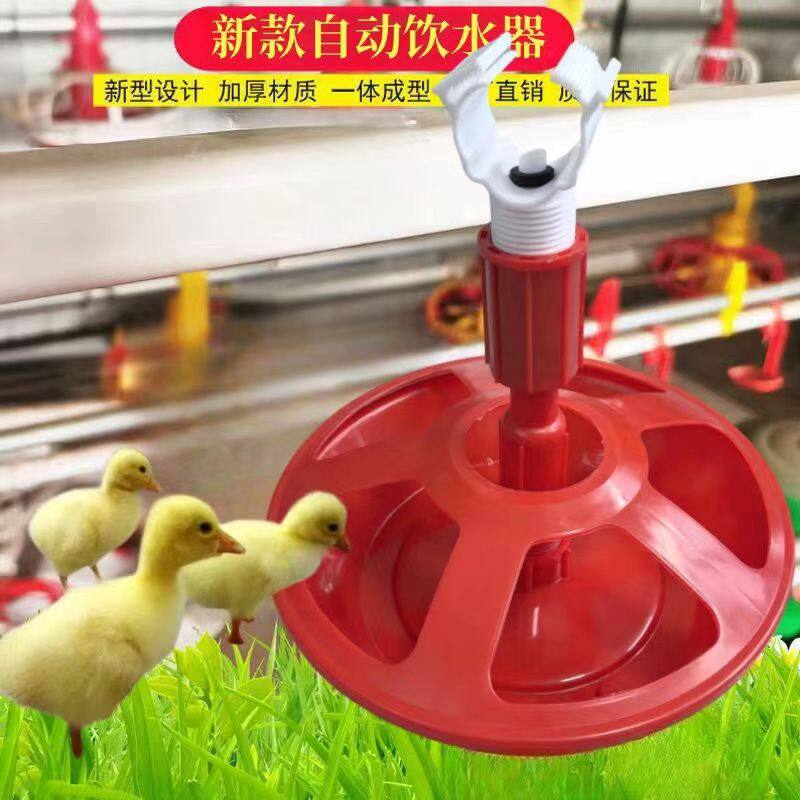 亚马逊爆款家禽自动饮水器育雏鸡鸭鹅饮水壶养殖喝水用品饮水器